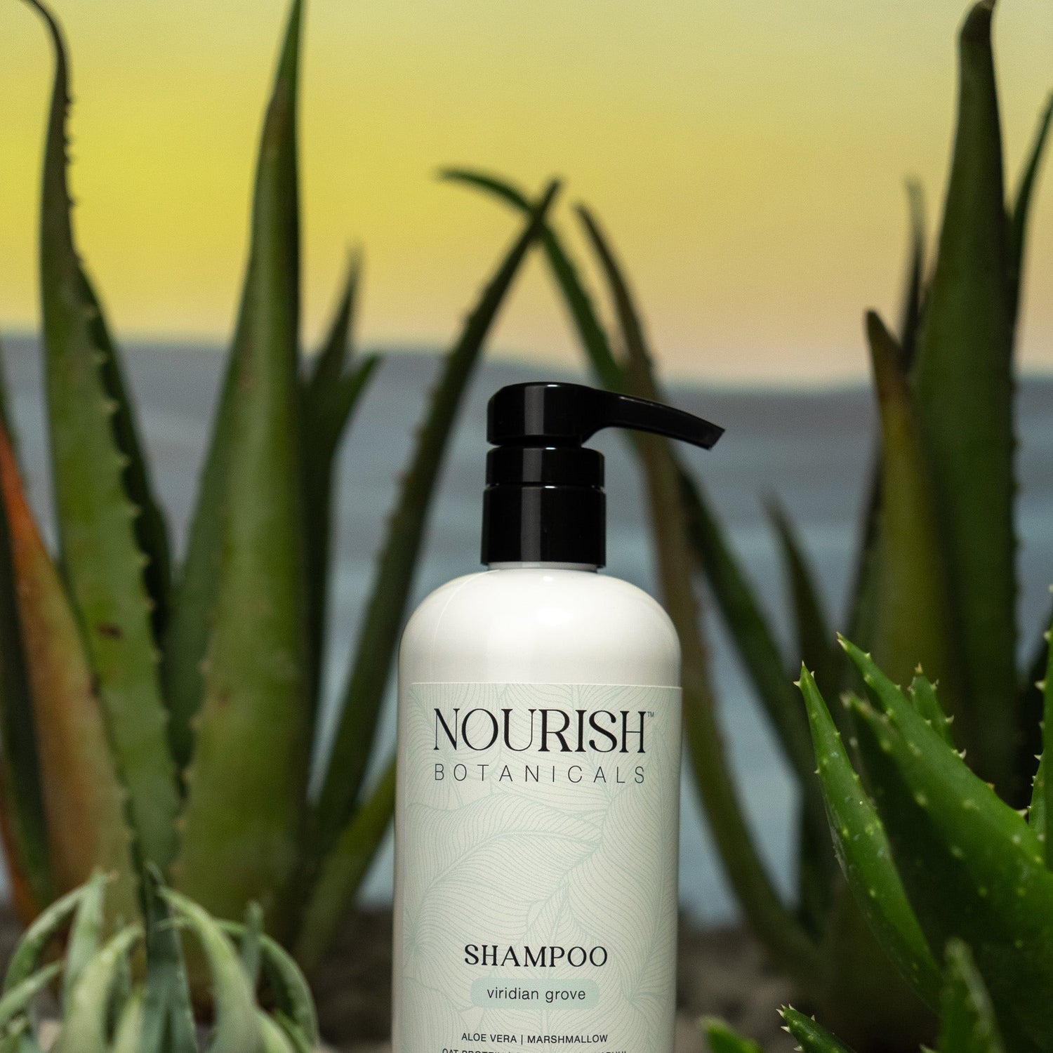 Aloe Vera Shampoo | Viridian Grove