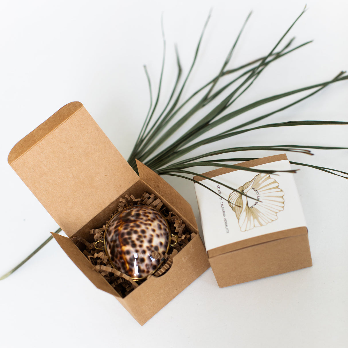 Passion Fruit & Yuzu Balm