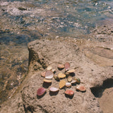 Leaves & Wood Perfume