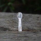 New Price! Shell Spoons