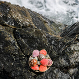 Leaves & Wood Perfume