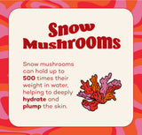 Fungdation - Mushroom Foundation Makeup