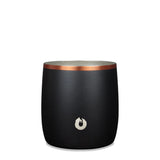 Stainless Steel Rocks Glass with Lid, Black