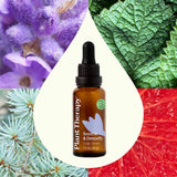 Hair Therapy Soothe & Detoxify Scalp Serum