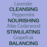 Hair Therapy Soothe & Detoxify Scalp Serum