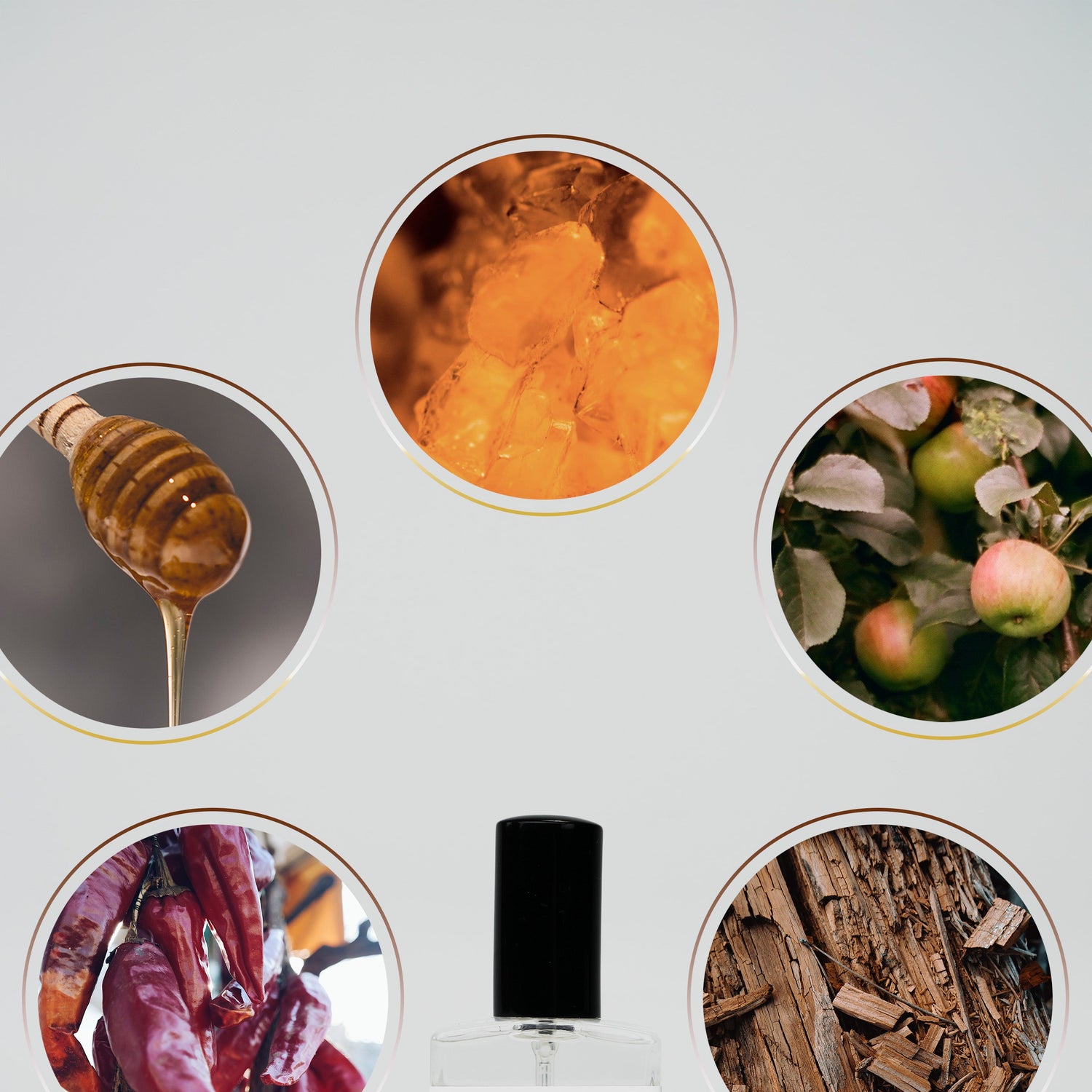 Perfume Sample Pack | One Vial of Each Scent