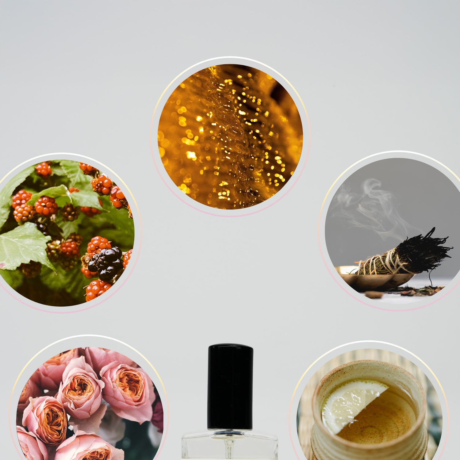 Perfume Sample Pack | One Vial of Each Scent