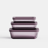 Tinted Rectangular Container Set