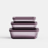Tinted Rectangular Container Set