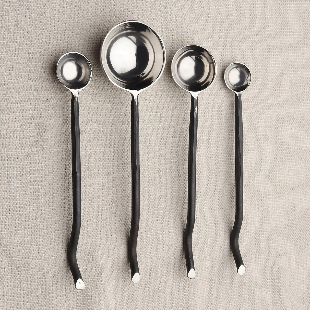 Twig Black Measuring Spoons Set