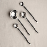 Twig Black Measuring Spoons Set