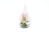 Set of 3 Teardrop Beach Terrariums with Black Sand