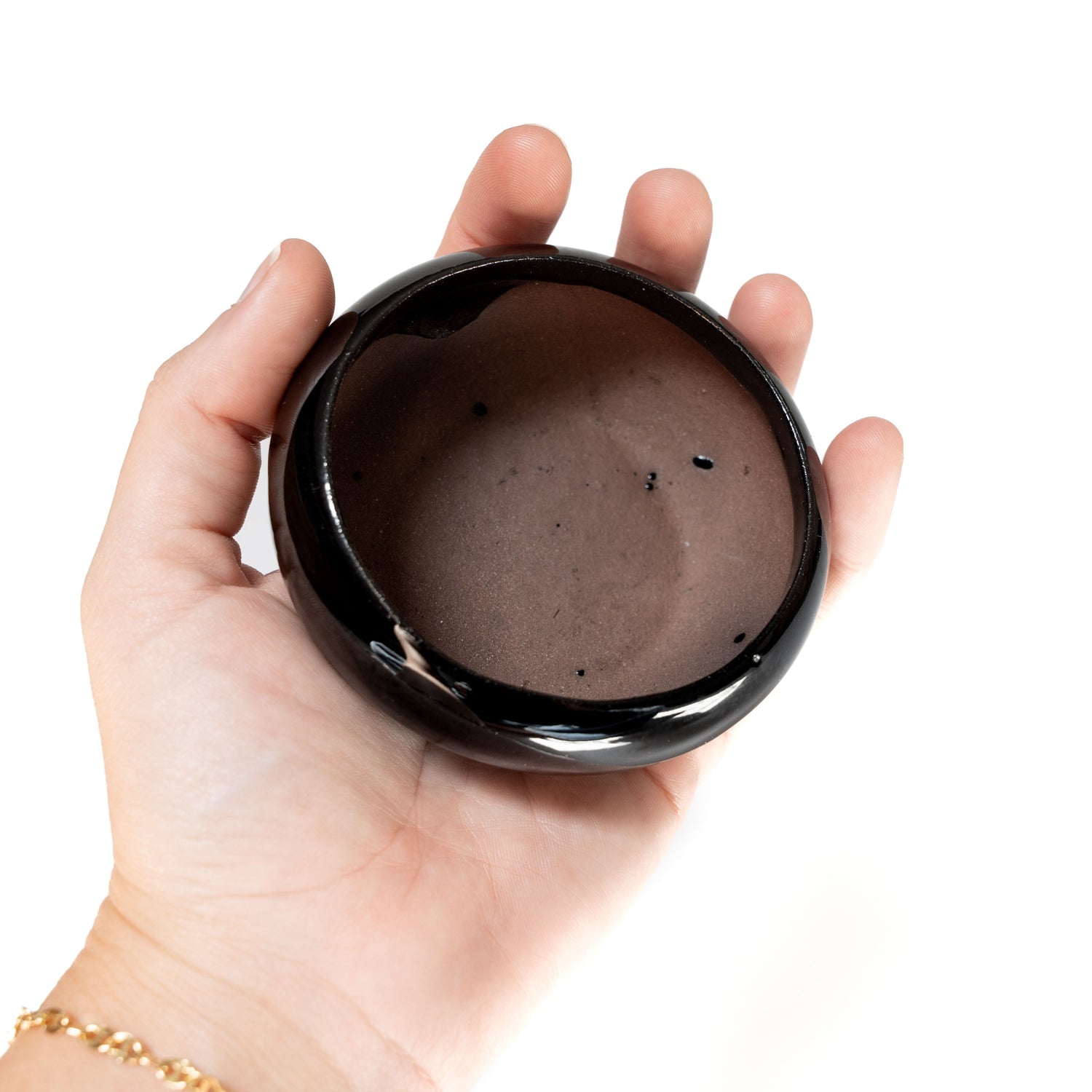 Fully Assembled Tillandsia Air Plant Dish Garden in Black Glazed Container