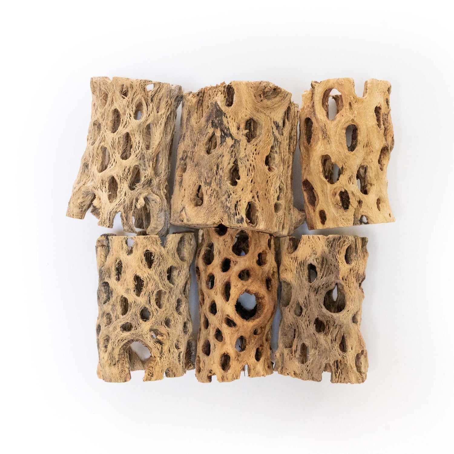 Natural Cholla Wood Container - 3 Inches Tall