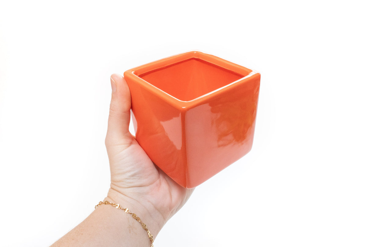 Naranja Orange Ceramic Cube Container with Large Assorted Tillandsia Air Plants