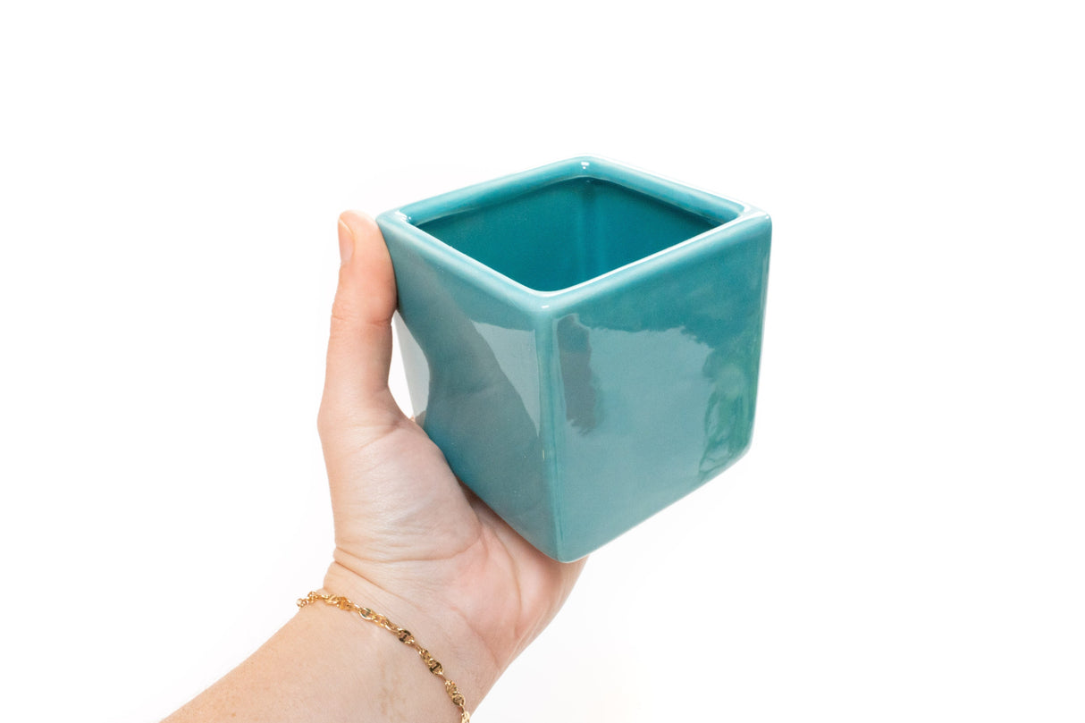 Sky Blue Ceramic Cube Container with Assorted Large Tillandsia Air Plant