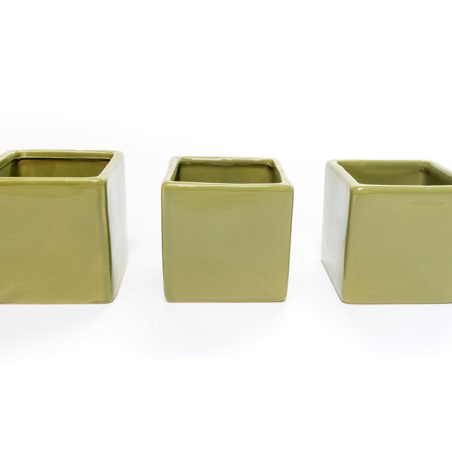 Avocado Green Ceramic Cube Container with Assorted Large Tillandsia Air Plant
