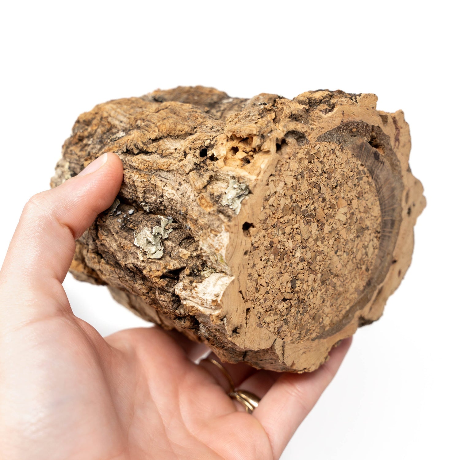 Natural Cork Bark Planters