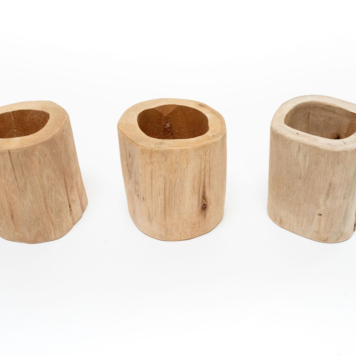Set of 3 Large Driftwood Containers with Custom Tillandsia Air Plants