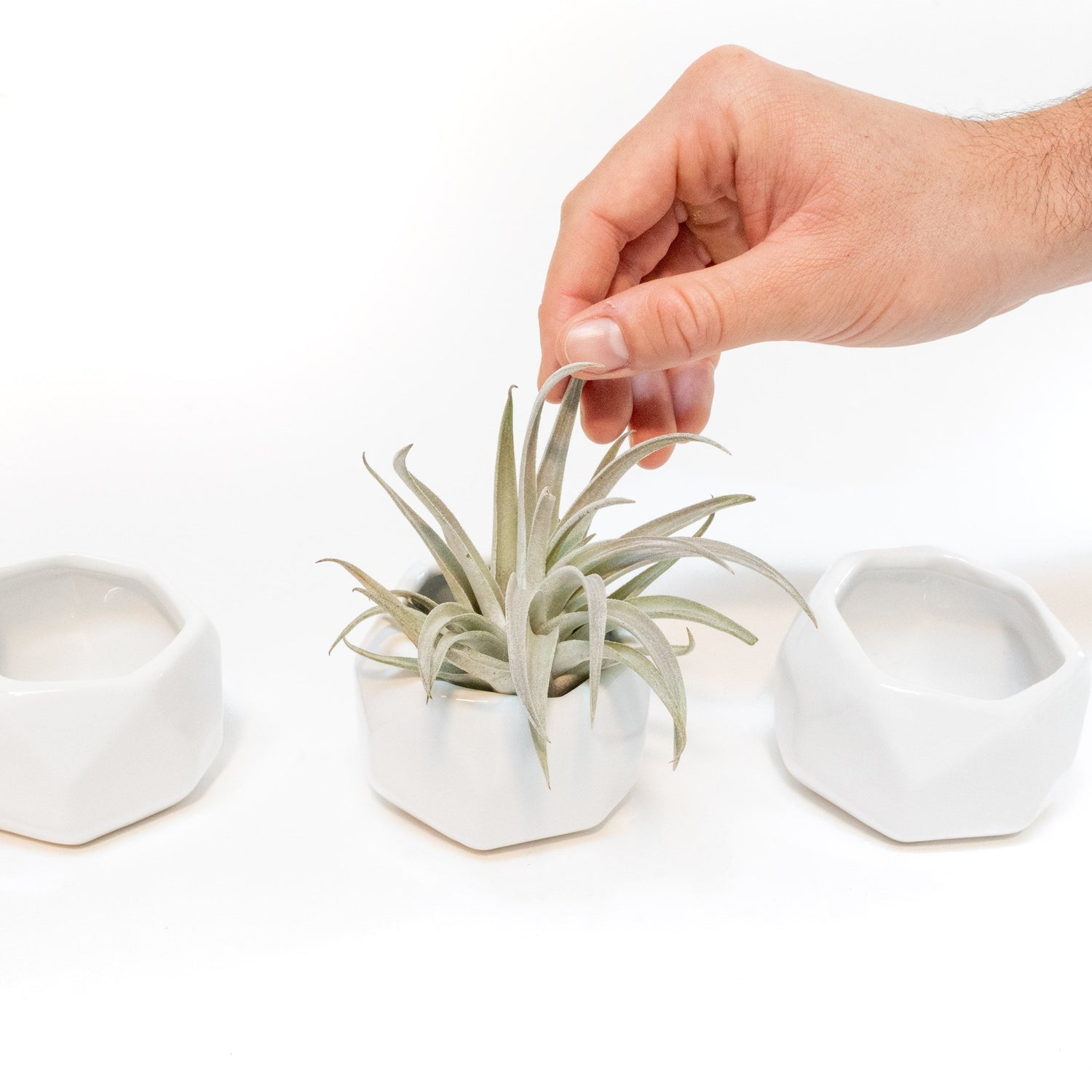 White Geometric Ceramic Container