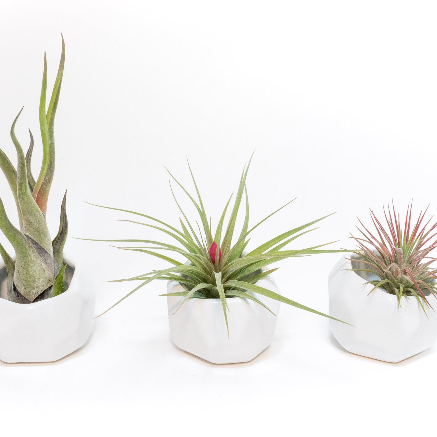 White Geometric Ceramic Container