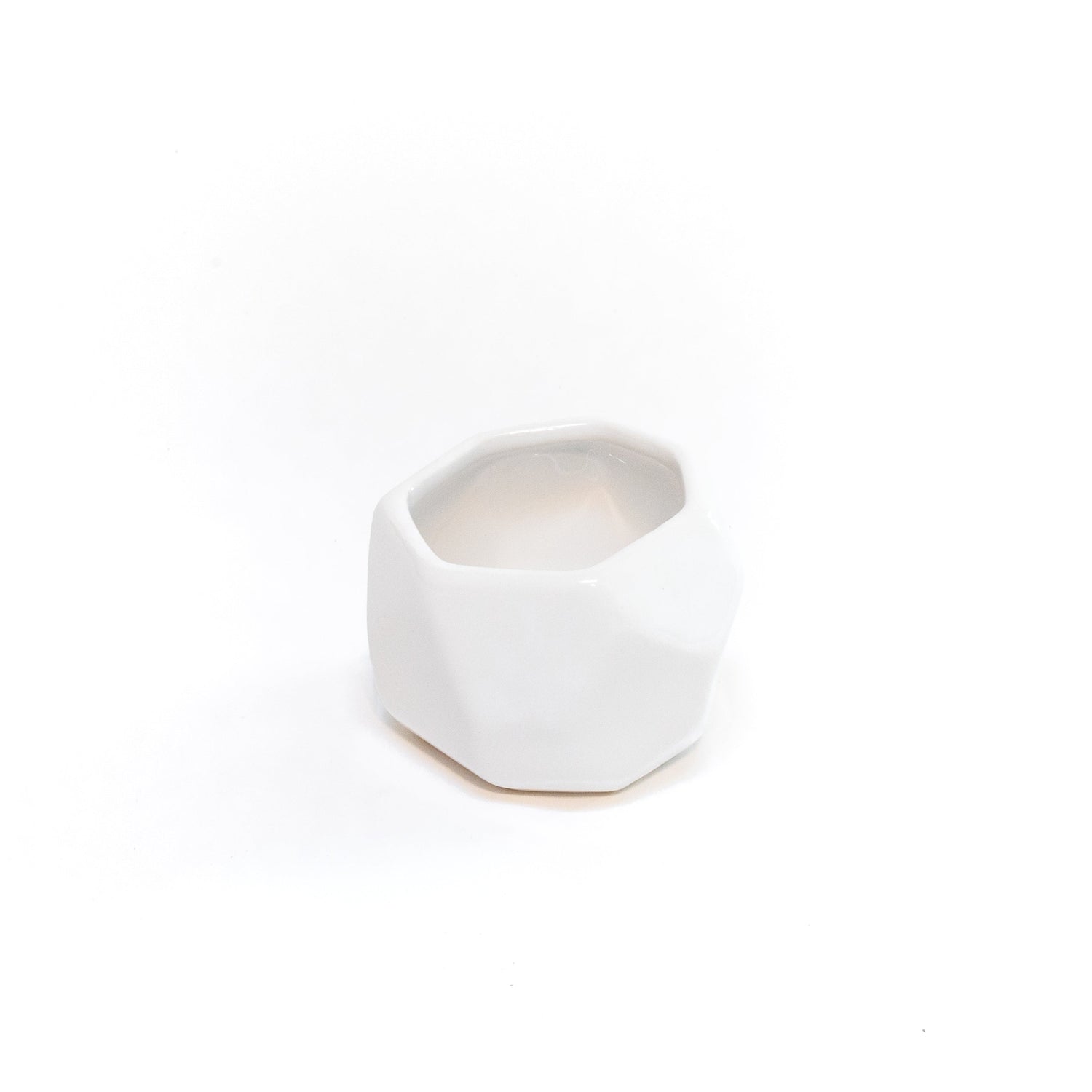 White Geometric Ceramic Container with Custom Premium Tillandsia Air Plant