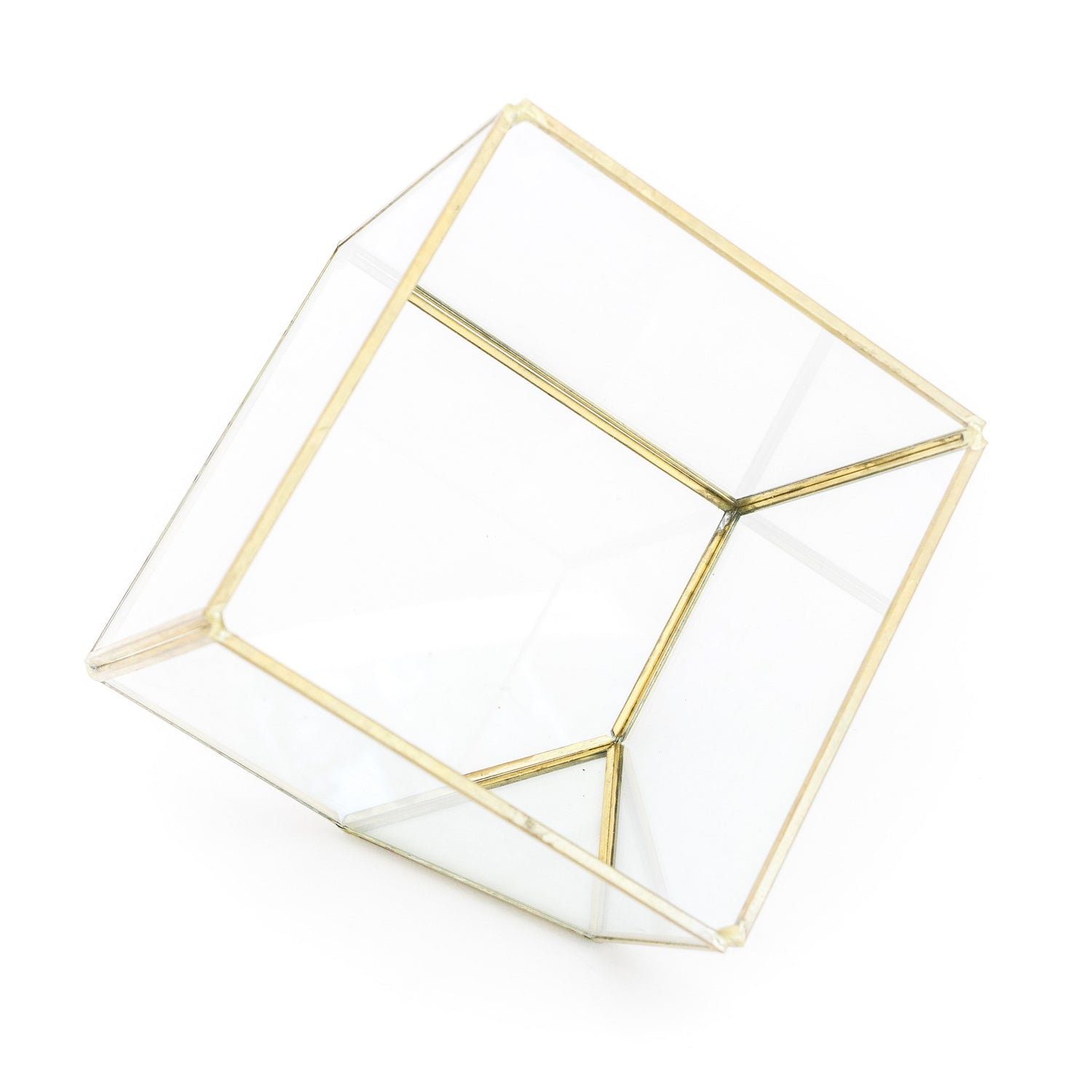 Heptahedron Geometric Glass Terrarium with Tillandsia Red Abdita and Ionantha Air Plants