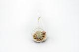 SALE - Set of 3 Airy Teardrop Terrariums with Flat Bottoms