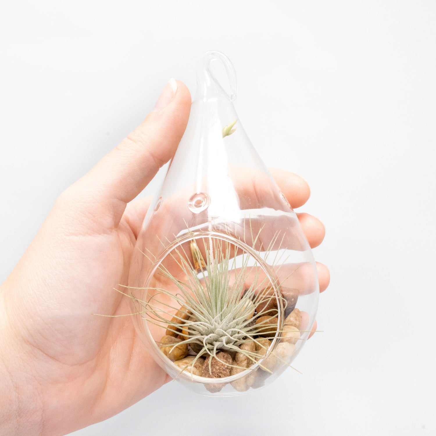SALE - Set of 3 Airy Teardrop Terrariums with Flat Bottoms
