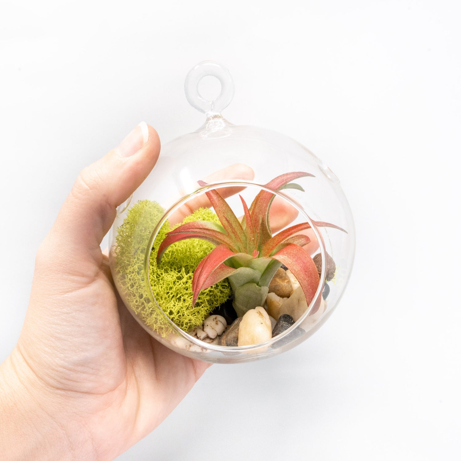 Set of 2 Stunning Hanging Glass Terrariums with Flat Bottoms
