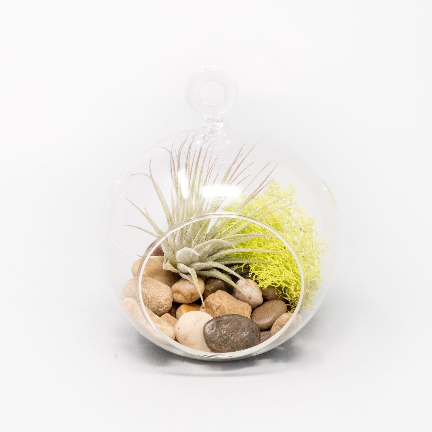 Set of 3 Stunning Hanging Glass Terrariums with Flat Bottoms