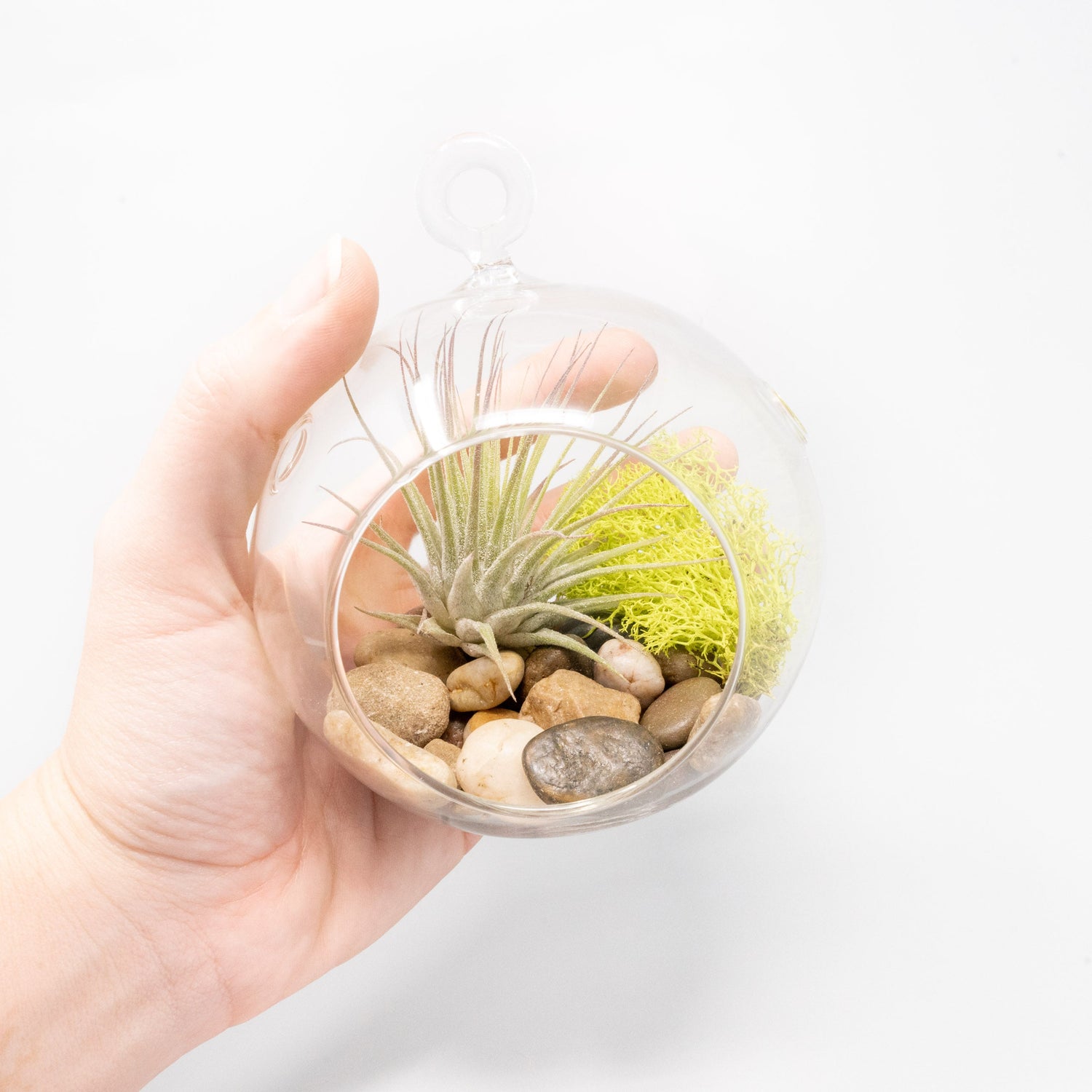 Set of 3 Stunning Hanging Glass Terrariums with Flat Bottoms