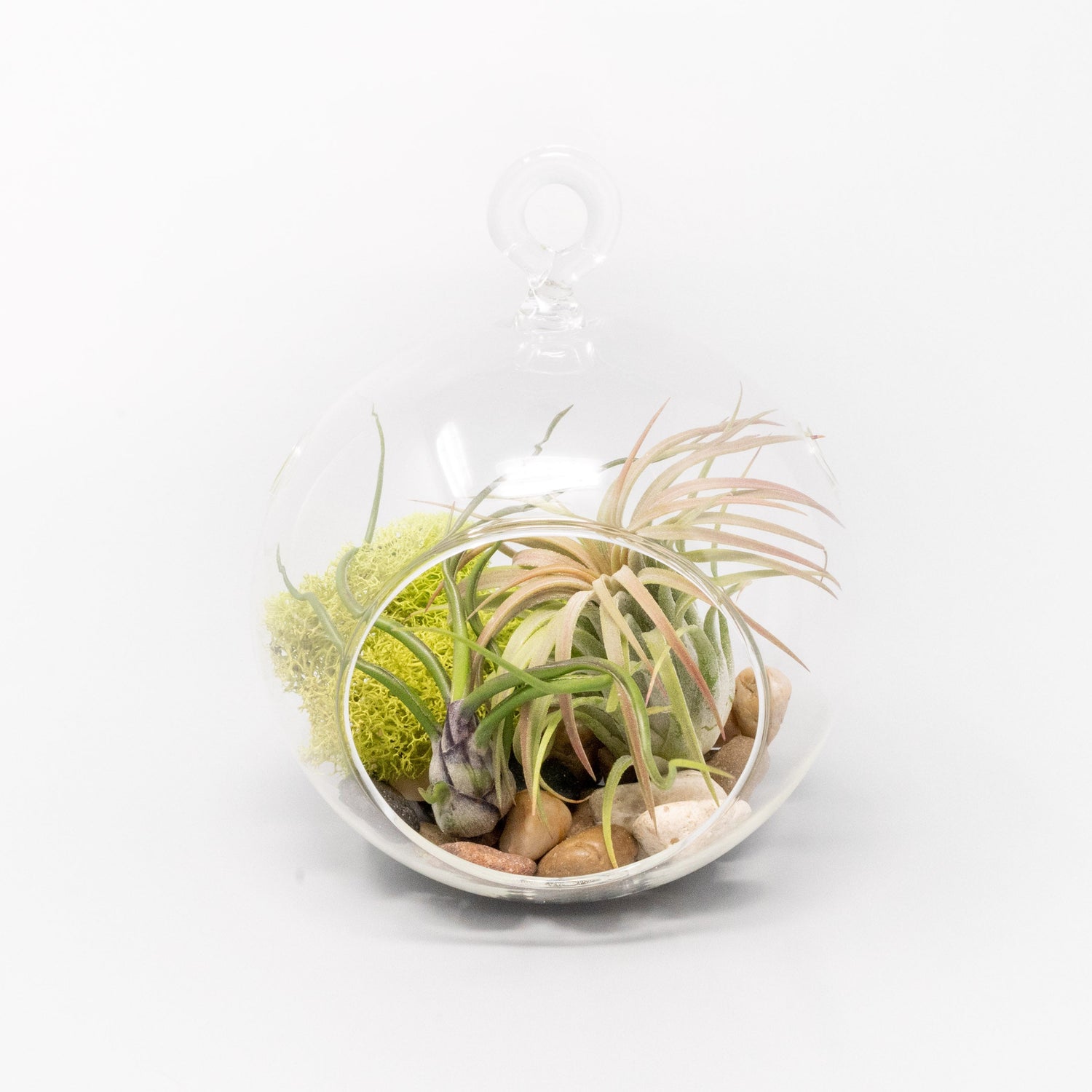 Set of 3 Stunning Hanging Glass Terrariums with Flat Bottoms