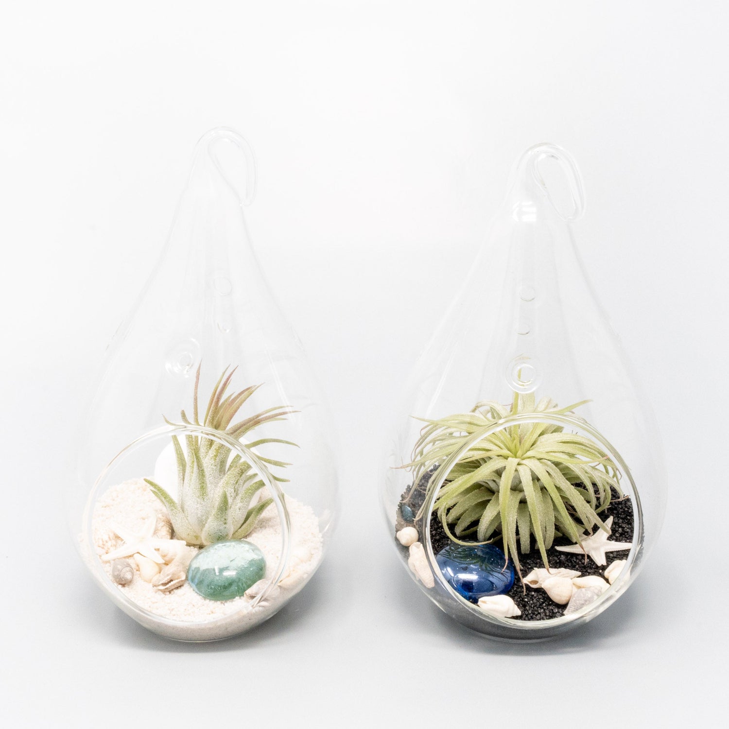 SALE - Teardrop Glass Terrariums - Set of 6 or 12 - 40% Off