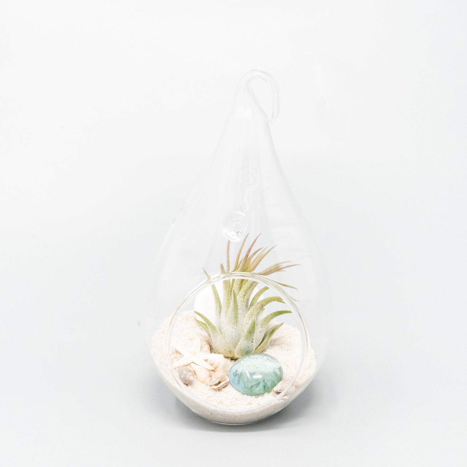 SALE - Set of 3 Teardrop Beach Terrariums with White Sand