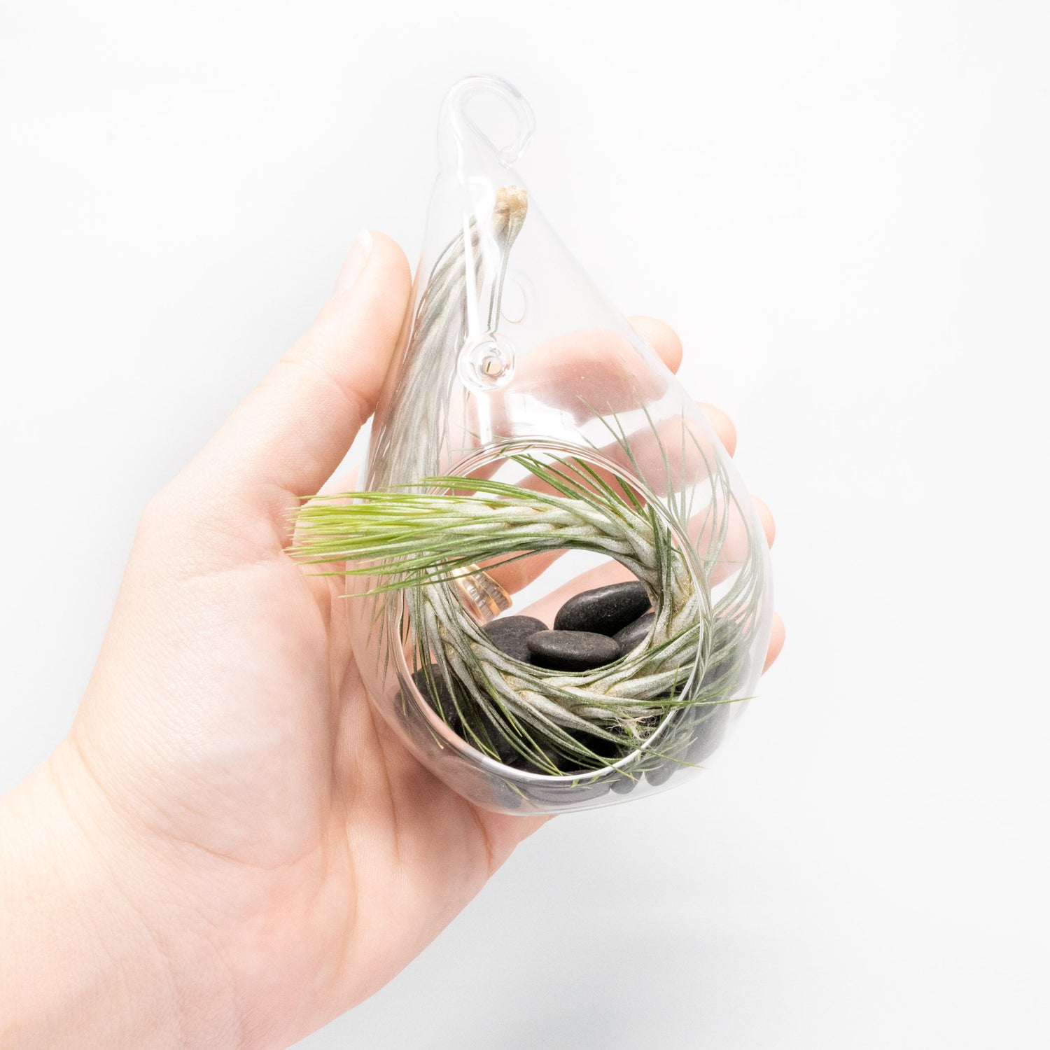 SALE - Set of 3 Funky Teardrop Terrariums with Flat Bottoms