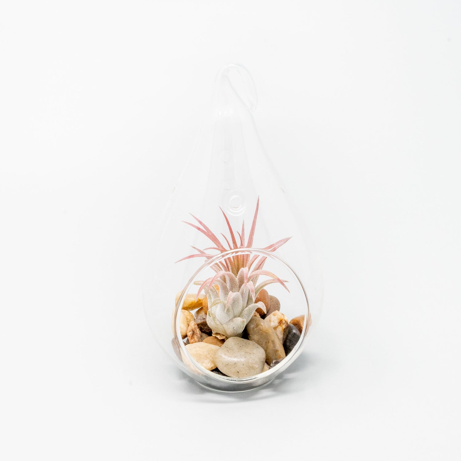 SALE - Set of 3 Airy Teardrop Terrariums with Flat Bottoms