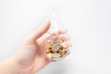 Teardrop Terrarium with Tillandsia Ionantha Guatemala & Riverstones