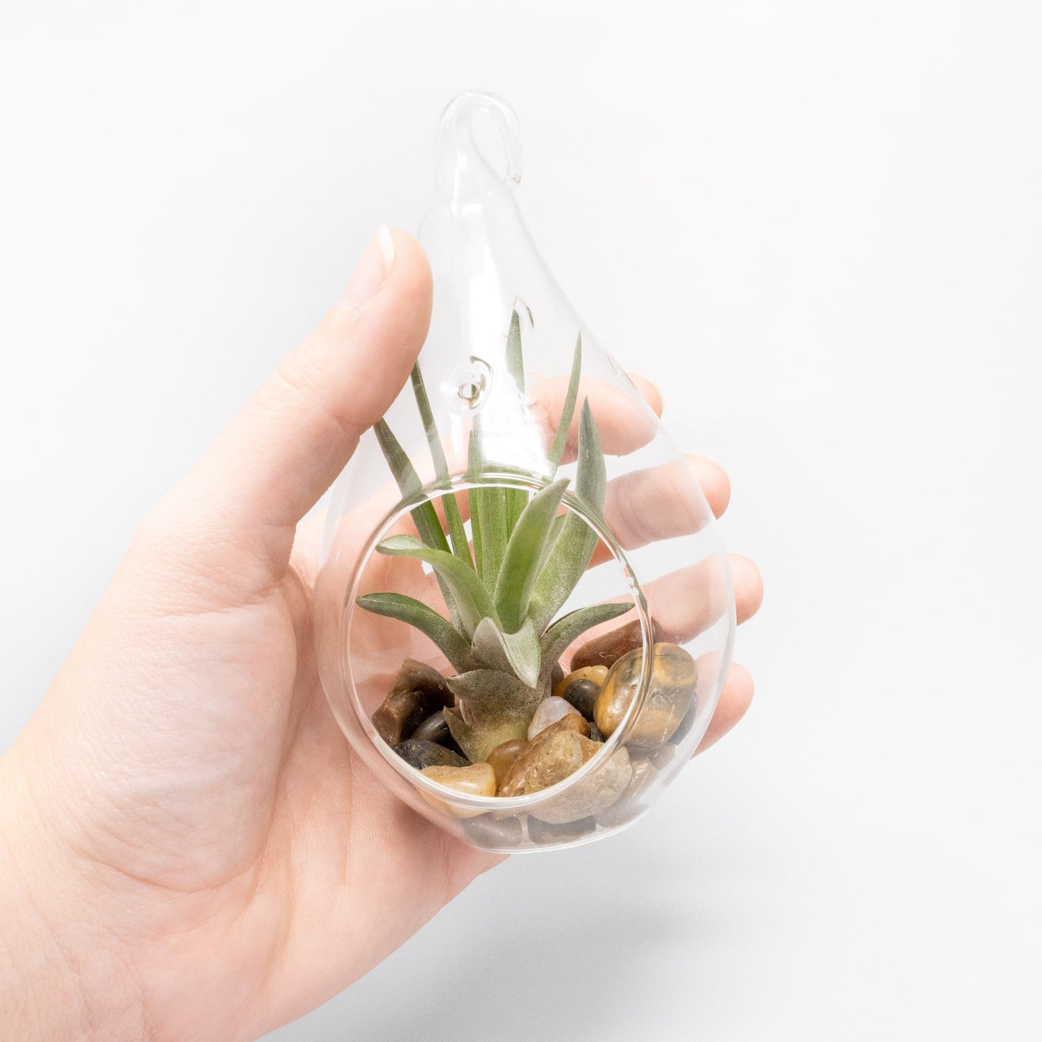 SALE - Set of 3 Airy Teardrop Terrariums with Flat Bottoms