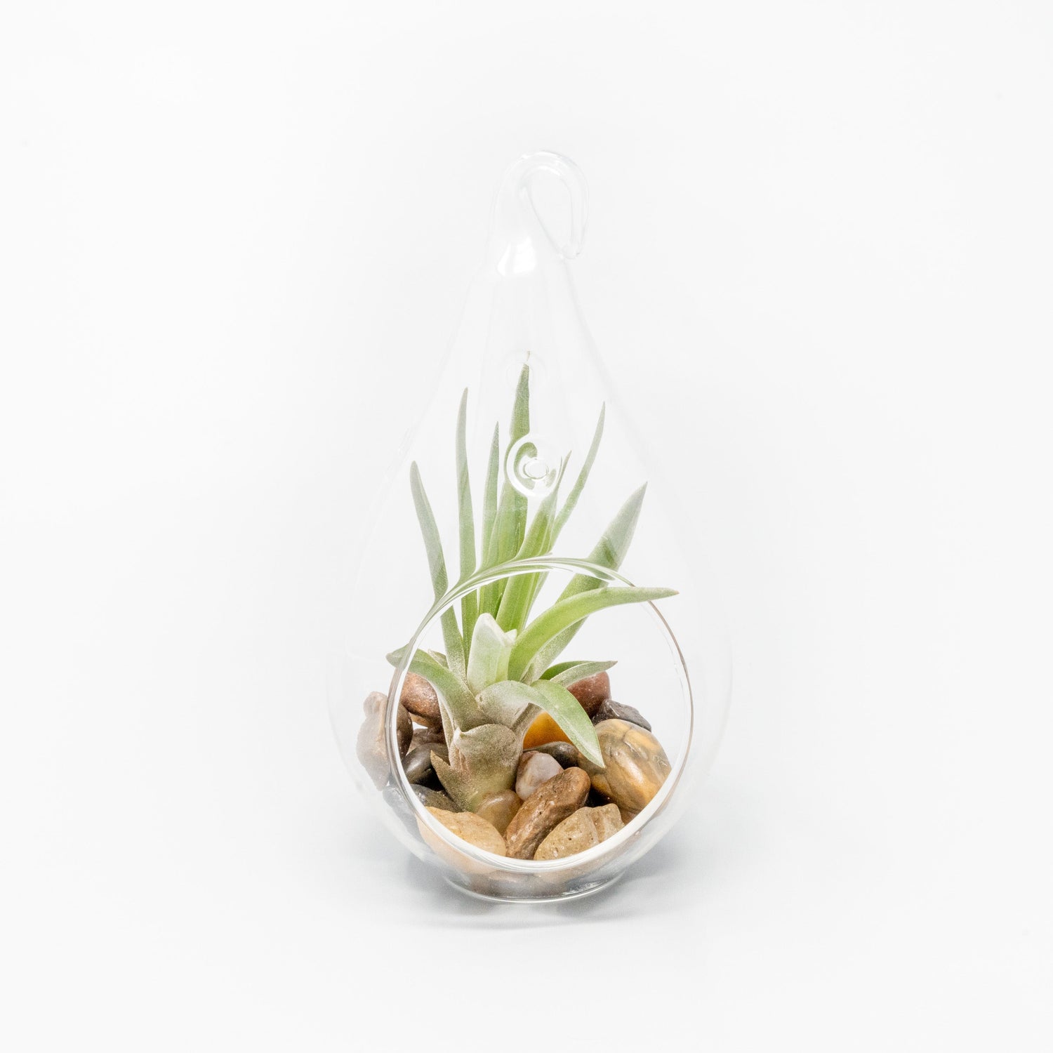 SALE - Set of 3 Airy Teardrop Terrariums with Flat Bottoms