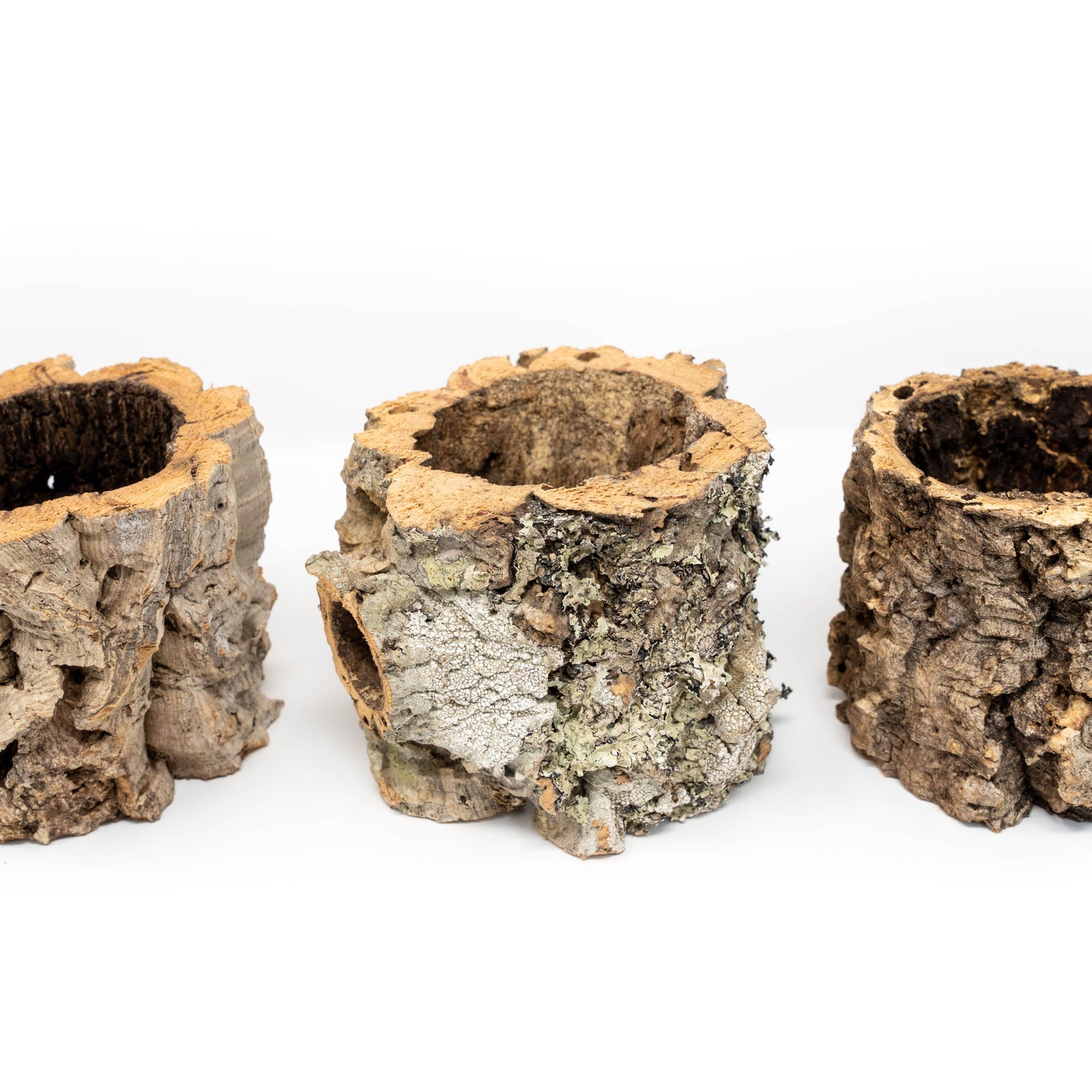 Natural Cork Bark Planters