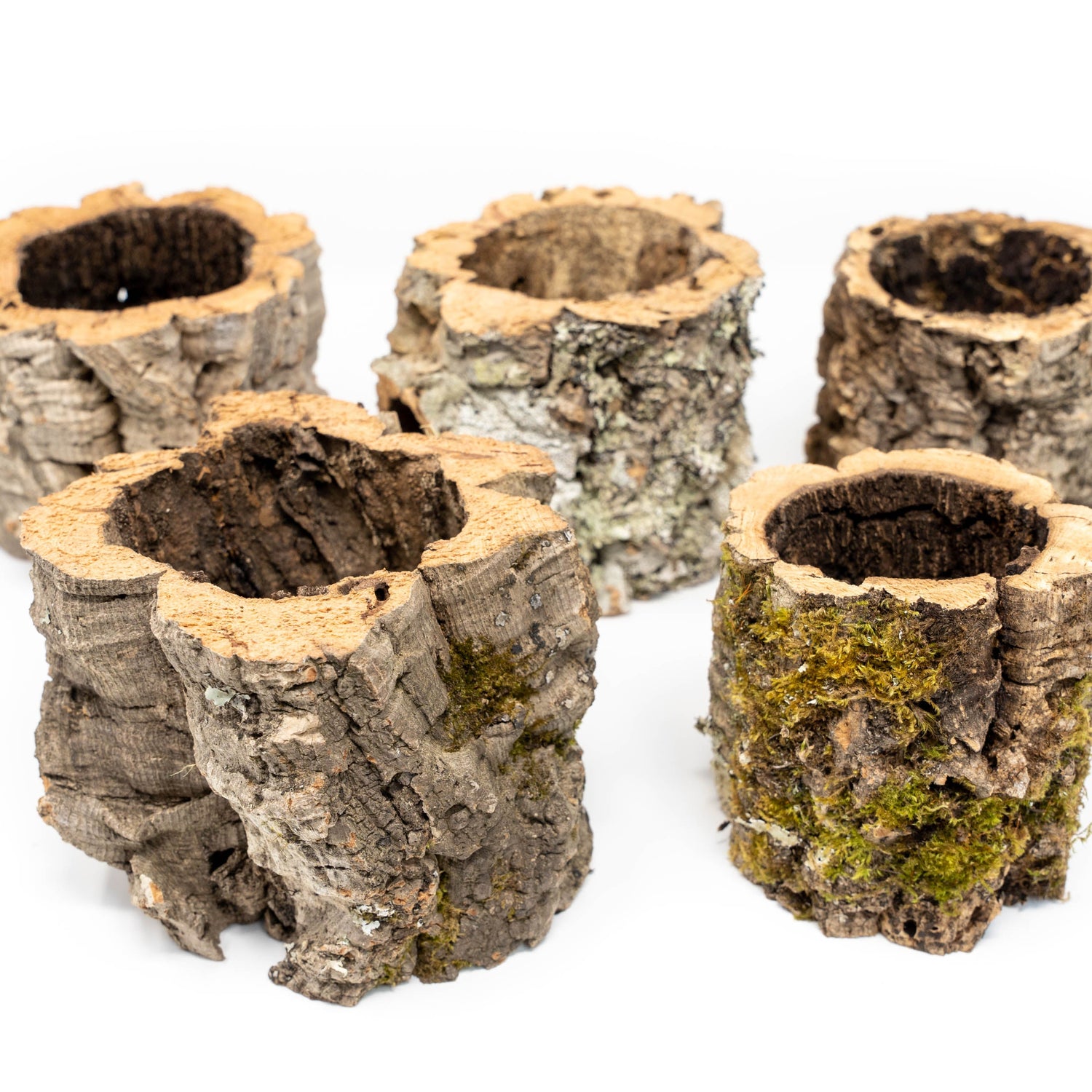 Natural Cork Bark Planters