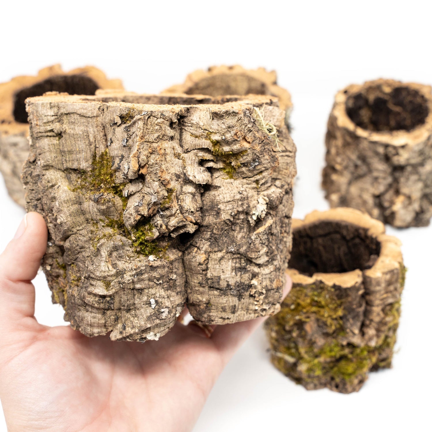 Natural Cork Bark Planters