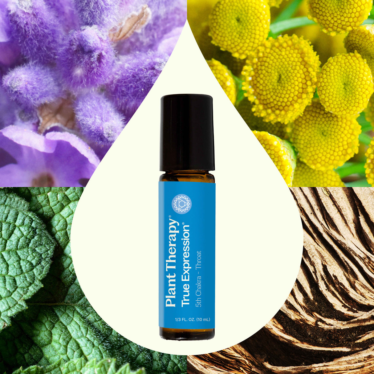 True Expression (Throat Chakra) Essential Oil Pre-Diluted Roll-On