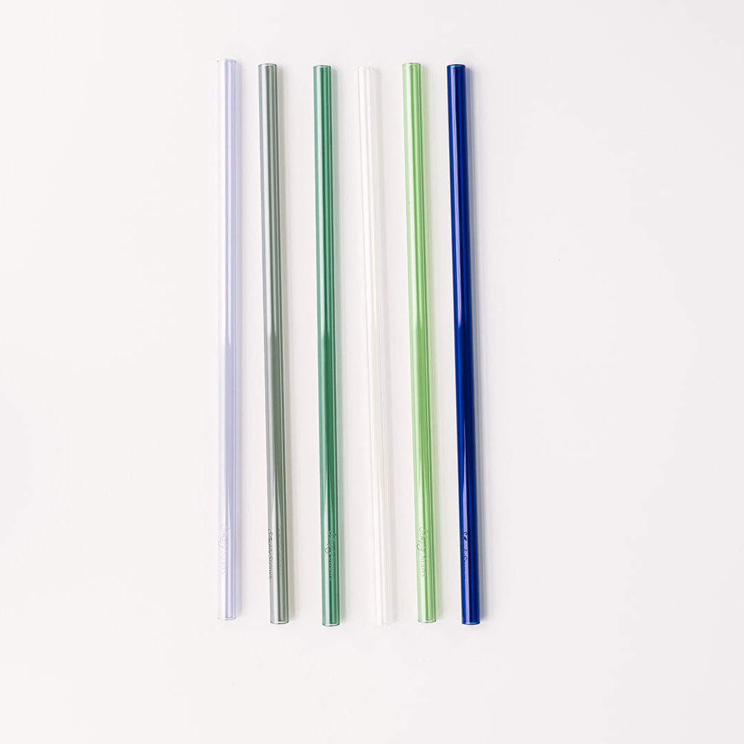 Tumbler 12" Glass Straw Set - Seaglass