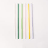 Tumbler 12" Glass Straw Set - Meadow