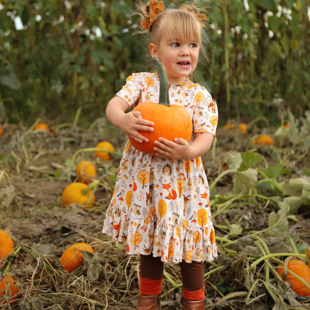 Bamboo Short Sleeve Twirl Dress in Autumn Acres