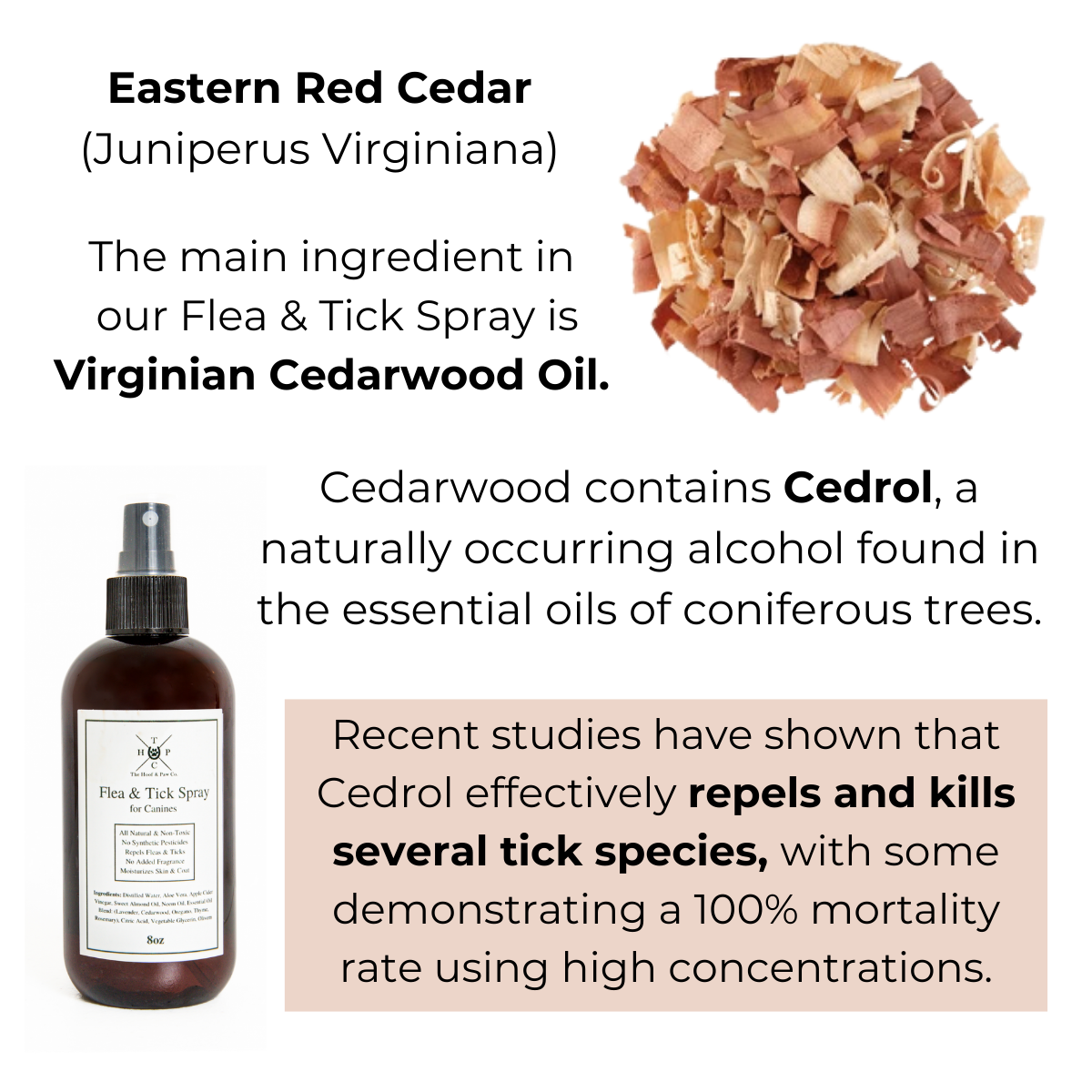 Flea & Tick Spray for Dogs