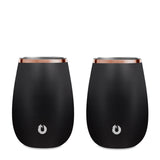 Stainless Steel Sauvignon Blanc Wine Glass, Set of 2 - Black