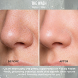 THE WASH // FACE + HANDS + BODY + HAIR
